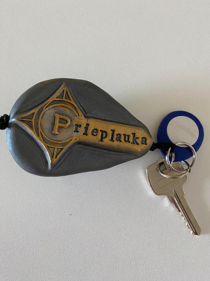 Albergue Rezidencija "Prieplauka" Alytus Exterior foto